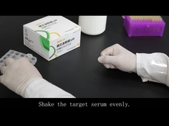 Schneller Test für Entdeckung von Parlamentarier-IgMantikörpern (kolloidales Gold)