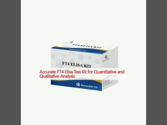 Genaue FT4 Elisa-Testkits für quantitative und qualitative Analysen