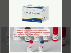 Biovantion High-Sensitivity CMV ELISA Reagent Kit für den Nachweis von Zytomegalovirus-Antikörpern