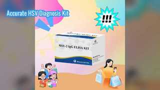 HSV-IgG ELISA-Testkit für genaue Diagnose
