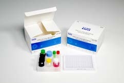 96 Tests 60 minimaler Test-menschliche Serum-Probe IgG Elisa Kit COVID-19