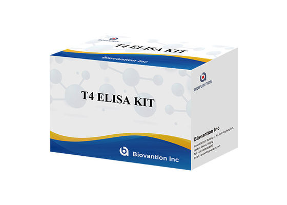 Thyroxin-T4-Elisa-Erkennungssatz