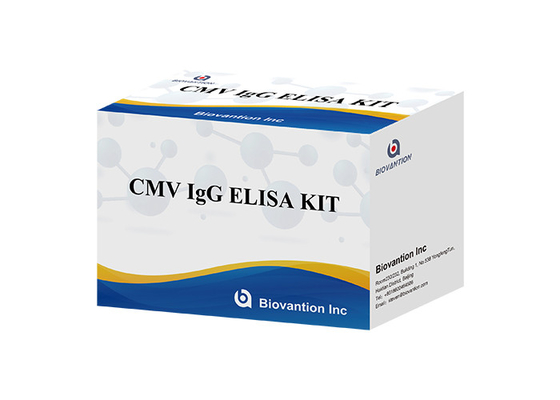 Labor- oder Krankenhaus-Hochgenauigkeit CMV IgG ELISA TEST KIT Elisa Test Kit