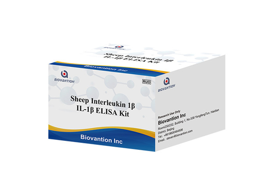Schafe Interleukin 1 Test Kit Il 1b Elisa Kit Beta Elisa Kits IL1F2 ELISA RUO