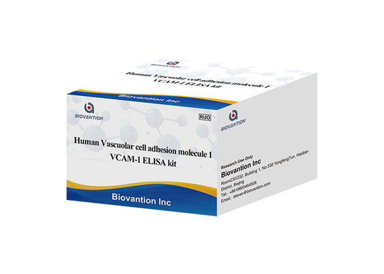 Test-Kit For Human Vascular Cell-Adhäsions-Molekül 1 VCAM1 CD106 ELISA RUO