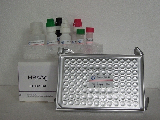 HBsAg ELISA-Test-Kit Reagent Enzymgebundene Immunsorptionsprüfung