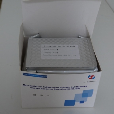 IGRA TB Elisa Test Kit Igra For TB-Diagnosen-Tuberkulose-Diagnosen-Interferon-Gamma