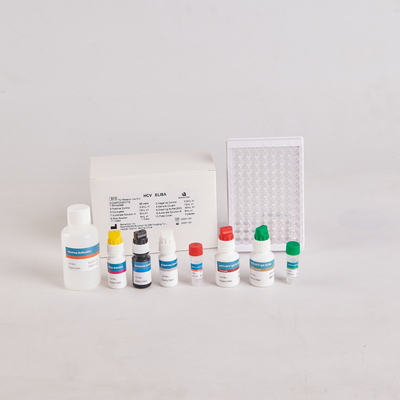 Humaner PTH-Elisa-Kit/Humaner Parathormon-Elisa-Kit für RUO mit 96 Tests