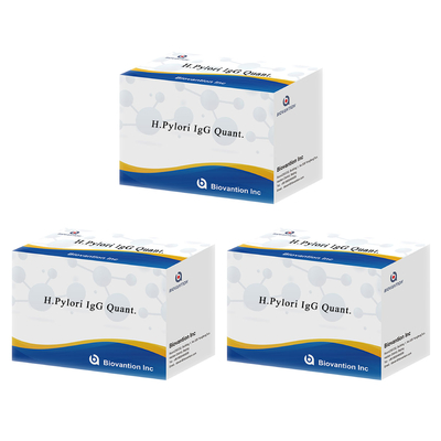 H.Pylori IgG Quant. Elisa-Kit Ursprung Elisa-Test-Kit Format-Kit von Biovantion