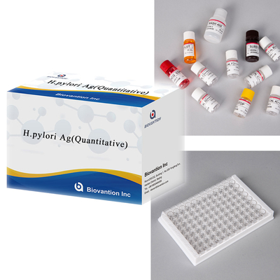Helicobacter Pylori Antigen H.pylori Ag (Quantitativ) ELISA-Test