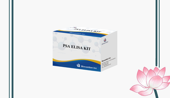 Ein Prostata-spezifischer Antigen PSA Enzym-gebundener Immunosorbent PSA Elisa Testkit