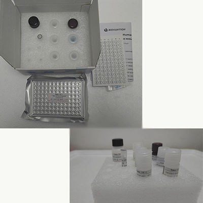 Humaner TNF-α RUO Elisa-Test-Kit
