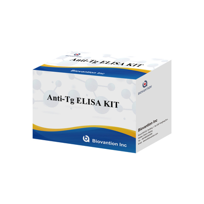 Elisa Diagnosekit für menschliche Antithyroglobulin-Antikörper