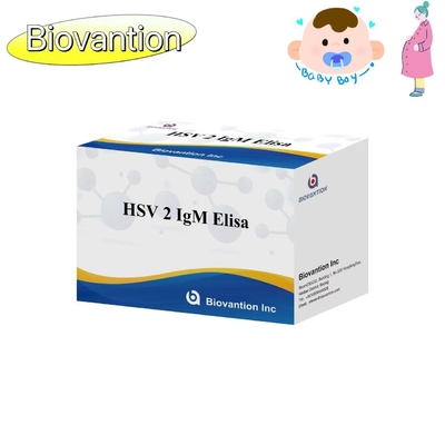 HSV 2 IgM Torch ELISA-Test-Kit Hochgenauigkeitsanleitung zur Anwendung