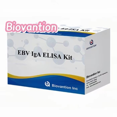 IgA-Antikörper gegen EBNA1 Elisa-Test-Kit Serum 50μL Proben-Kit-Format