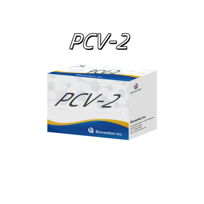 WB/S/P PCV-2 ELISA-Test für tierische Antikörper Veterinärreagenzien