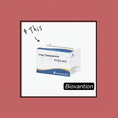 Tests mit freiem Testosteron und freier Tests mit ELISA