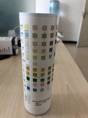 Urinanalyse Teststreifen Trockene chemische Methode Urin-H-11 Urin-H-10 Urin-H-8