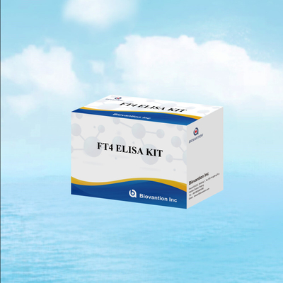 TOXO IgM IgG igg igg igm ELISA-Kit für den menschlichen Gebrauch Diagnosegerät Testkit mit 96 Kit