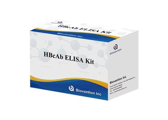 Warmverkauf Diagnosereagenz für den menschlichen Gebrauch mit 96 Test Hbc Antikörper HBcAb Elisa Kit