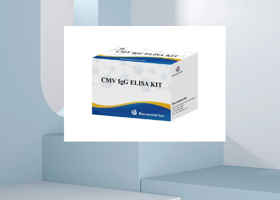 CMV IgG Elisa Test Kit ELISA Diagnostik Kit IgG Antikörper gegen Zytomegalovirus