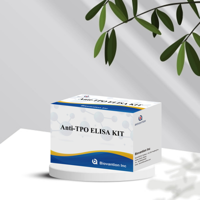 Diagnosekit für MenschenAnti-TPO für Krankenhaus und Labor mit 96 Tests