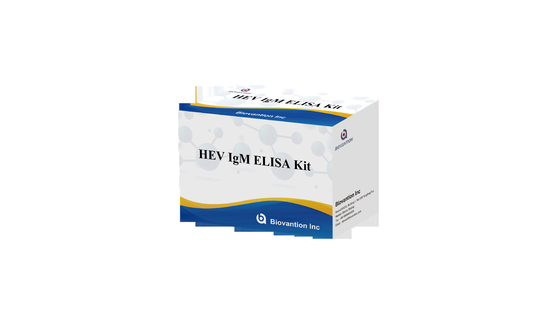 Labor- oder Krankenhaus-Antikörper IgG gegen Hepatitis E Virus HEV Elisa Testkit