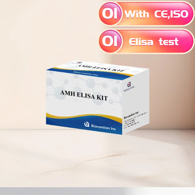 AMH ELISA-Test-Kit für menschliche Anti-Mullerian-Hormone