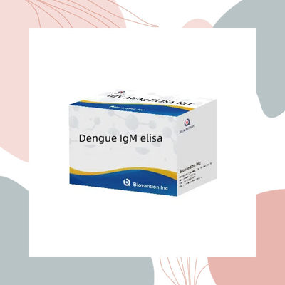 Human Dengue Virus IgM Antibody ELISA Detection Kit 96 Test/Kit