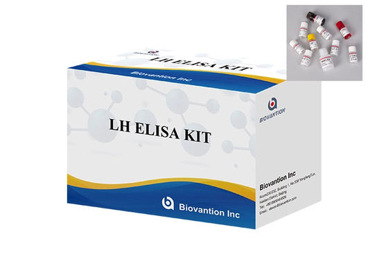 Medizinische Verbrauchsmaterialien erkennen den Eisprung genau LH Elisa Test Kit