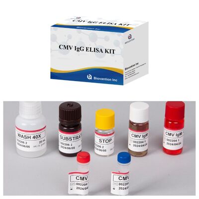 96T CMV ELISA Test Kit mit kolorimetrischer Detektion und Sandwich-Methode für Zytomegalievirus-Antikörper