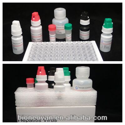 Hochsensitives HBsAg ELISA Testkit mit 2-3 Stunden Testzeit und 18 Monaten Haltbarkeit zum Nachweis von Hepatitis B
