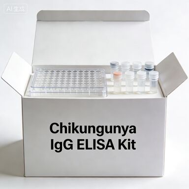 Chikungunya IgG ELISA-Kit für In-vitro-Diagnostik mit Reagenz