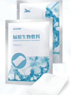 Anti-Infective Irradiated Biological Dressing for Large-Area Wounds