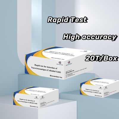 Norovirus Test Kit – Rapid Antigen Cassette, Colloidal Gold, for Clinical
