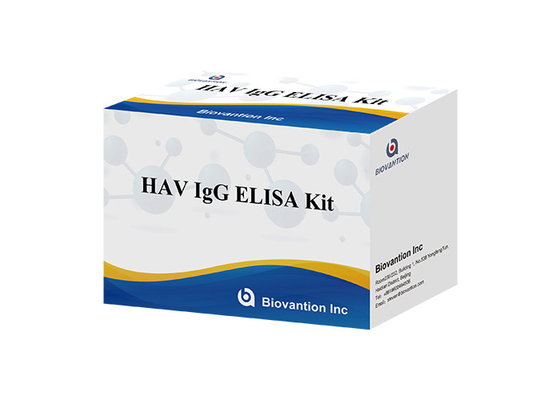 Hepatitis HAV IgG Elisa Kit Antibody Diagnostic Kit For ein Virus