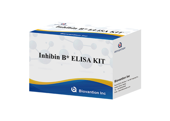 Labor- oder Krankenhaus-Hochpräzisions-ELISA-TEST-KIT für die immunologische Detektion von Inhibin B