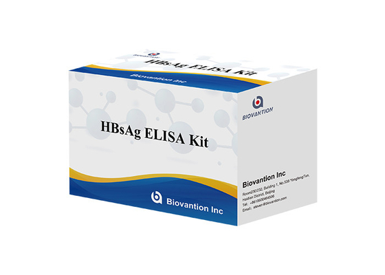 Oberflächenantigen Elisa Test Infektionskrankheit HBsAg Elisa Kit Hepatitis B