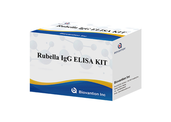 Labor- oder Krankenhaus-Rubella-Igg-ELISA-Test-KIT mit hoher Genauigkeit