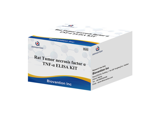 Ratten-Tumor-Nekrose-Faktor Alpha Elisa Kit For Tnf Alpha 48 Wells