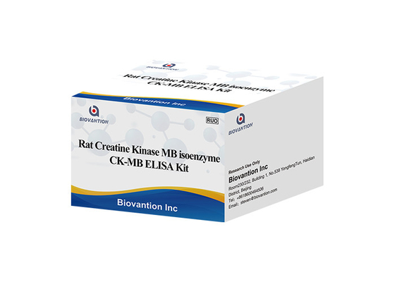 Test-Ausrüstung Ratten-Kreatin-Kinase MB-Isoenzym-CK-MB ELISA RUO