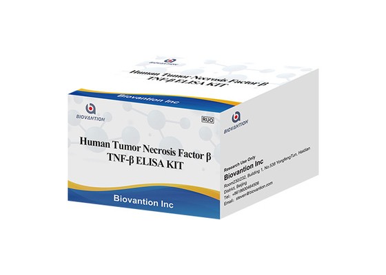 Lymphotoxin-Alpha LTA ELISA KIT Human Tumor Necrosis Factor TNFB TNFSF1 Beta