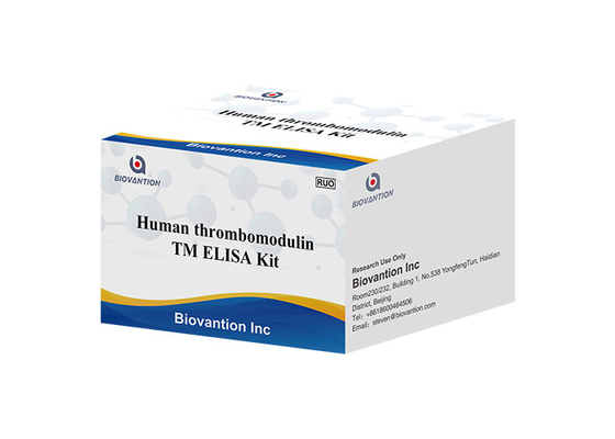 Menschlicher Thrombomodulin TM Fetomodulin CD141 THBD THRM ELISA Kit