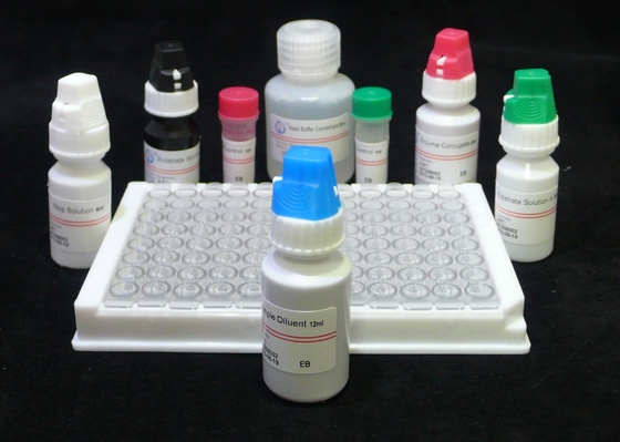 H.Pylori IgG Quant. Elisa-Kit Ursprung Elisa-Test-Kit Format-Kit von Biovantion