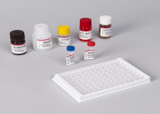 Für Labor- oder Krankenhausversuche Beta-Human Choriongonadotropin Elisa Testkit