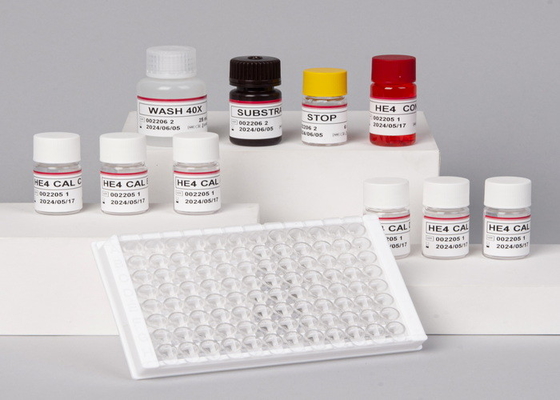Alpha-Fetoprotein-AFP-Elisa-Test-Kit für Labor oder Krankenhaus