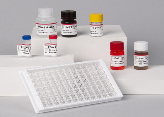 Hohe Präzision für Labor- oder Krankenhausversuche Hohe Präzision RUO Human TNF-α Elisa Test Kit