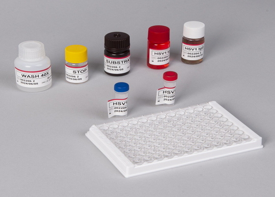 Für den Nachweis von Gesamt-Antikörpern gegen Treponema pallidum im menschlichen Serum oder Plasma