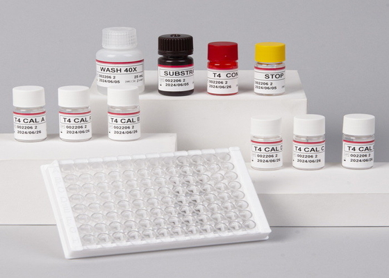Labor- oder Krankenhaus-Hochpräzisions-Kvantitativ-ELISA-Test-Kit HBsAb