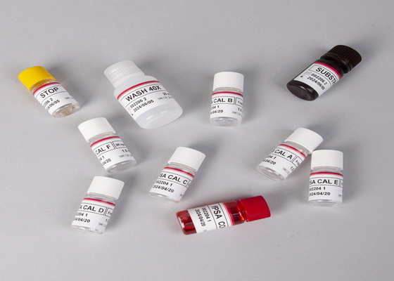 Detektion von Gesamt-Antikörpern Kolloidgold-Schnelltest auf Treponema pallidum im menschlichen Serum oder Plasma